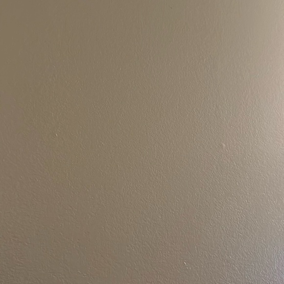 Meet your Posher, Nessa - Picture 1 of 1